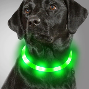 LED Green Dog Collar