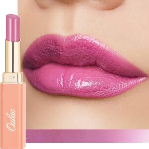 Pink Lipstick Glossy Finish – Moisture Shine