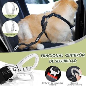 Dog Car Harness Seatbelt Set