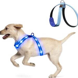 Dog LED Glow Flash Harness Chest Collar Light Up Safety Belt