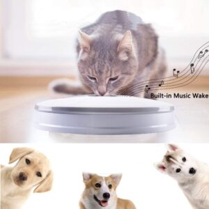 Automatic Pet Feeder with Programmable Timer