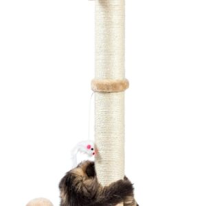 Tall Cat Scratching Posts for Indoor