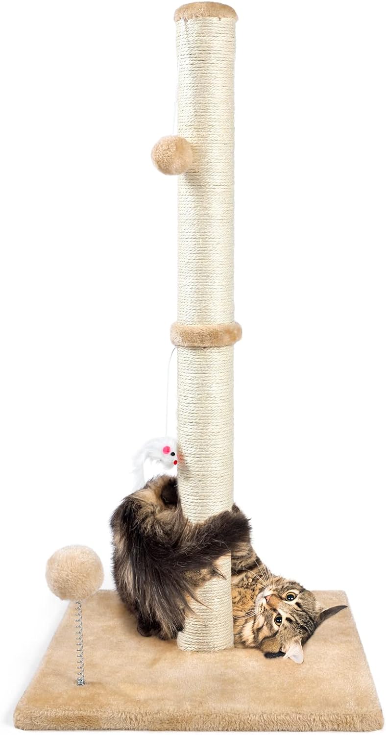 Tall Cat Scratching Posts for Indoor